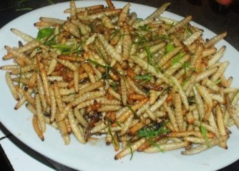 Sâu măng, món ngon đặc sản ở Mường Lát nhưng không phải ai cũng dám thử