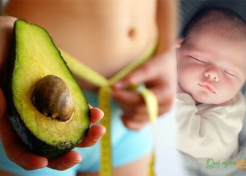 Tác dụng tuyệt vời của bơ đối với mẹ bầu và thai nhi
