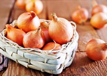Top 10 cách chế biến hành tây ăn sống đơn giản
