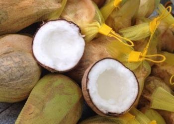 Top 10 loại hoa quả đặc sản của từng vùng miền Việt Nam