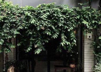 Top 10 quán cafe Quận 1 yên tĩnh có view đẹp