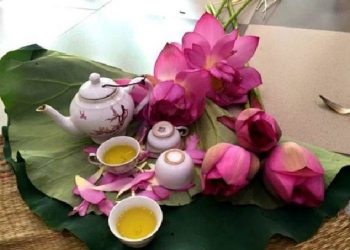 Top 10 thương hiệu Trà nổi tiếng nhất của tại Việt Nam