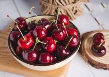 Top 15 Loại Quả Giải Nhiệt Mùa Hè Cực Đã