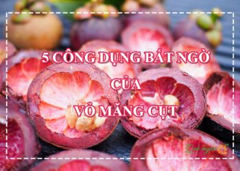 Top 5 công dụng bất ngờ từ vỏ măng cụt và cách dùng