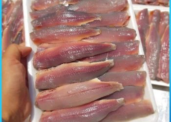Vào bếp cùng làm món gỏi cá trích đậm hương vị biển