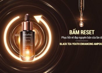 Review tinh chất Innisfree Black Tea Youth Enhancing Ampoule: Phục hồi da và chống lão hóa từ trà đen