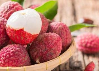 Vải chính vụ ngon rẻ ai cũng ăn, nhưng “say vải” nguy hại thế nào nhiều người không biết