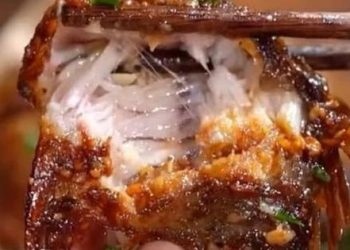 Có nồi chiên không dầu mà không nướng cá theo cách thơm ngon nhanh gọn, ngoài giòn trong mềm sau đây thì quá phí!
