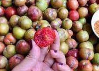 9 mẹo hay để quả mận rất ngon không thành thuốc độc mà rất ít người biết