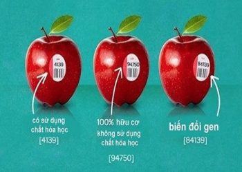 Đừng bao giờ mua những loại trái cây có mã code bắt đầu bằng số 8