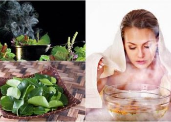 Trị cảm cúm an toàn bằng các loại lá xông hơi giải cảm