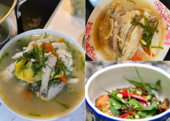 Cá khoai: 6 cách chế biến món ngon đơn giản tại nhà