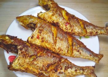 Cá đổng – Loài cá biển mang đến nhiều món ăn ngon, dinh dưỡng đổi vị cho cả nhà
