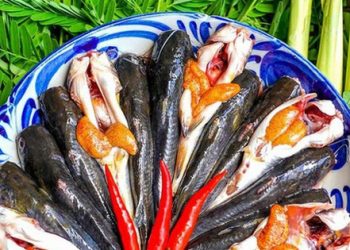 Cá chốt nấu lá me non, chua thanh và ngon thấm đẫm nơi đầu lưỡi