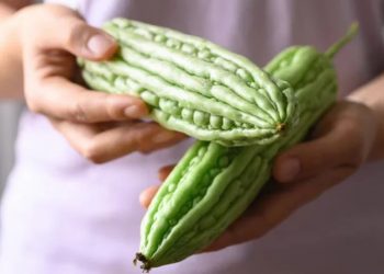 Dưỡng nhan bằng mướp đắng giúp da khỏe dáng thon
