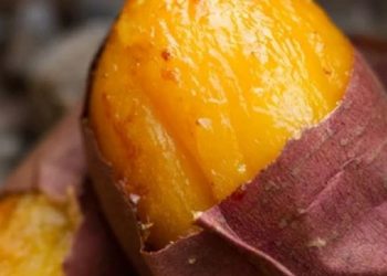 Khoai lang cực tốt nhưng ăn sai cách có thể cực độc – ăn thế nào để không rước họa vào thân
