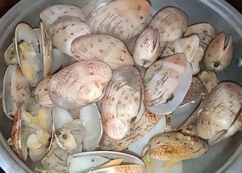 Sò mía và những gợi ý món ngon nóng hổi thích hợp cho ngày đông lạnh giá