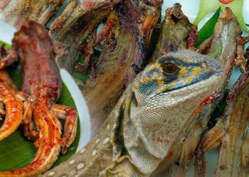 Dông nướng – Đặc sản khó quên níu chân bao thực khách của miền cát trắng