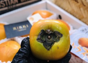 Quả Hồng giòn Nara gần 2 triệu đồng/kg hút mạnh giới nhà giàu, sành ăn và đắt nhất là loại cuống phồng, mua về phải để tủ lạnh rồi bổ ăn mới ngon