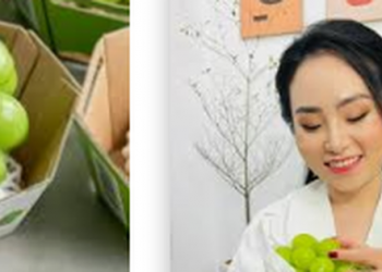 Công thức kem nho, ức gà sốt trộn với nho Mẫu đơn tận 50.000 đồng/quả của giới nhà giàu – bạn đã nếm thử chưa?