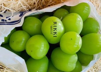 Đĩa salad đội giá cả triệu đồng vì cho thêm thứ quả này vào