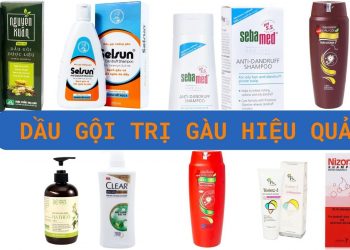 Top 10 dòng dầu gội trị gàu hiệu quả và được tin dùng