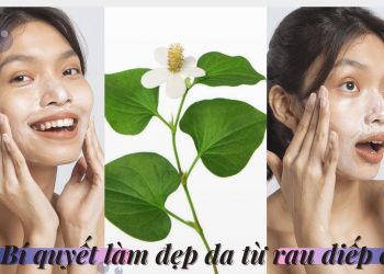 Bí quyết làm đẹp từ rau diếp cá ngay tại nhà: đơn giản, hiệu quả tốt bất ngờ