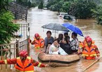 Tìm ăn các loại rau vị đắng sau sẽ rất tốt cho sức khỏe khi mưa bão, giá lạnh, chuyển mùa