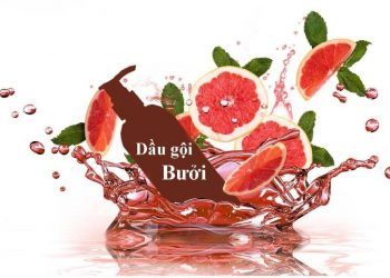 TOP 10 dầu gội bưởi giúp tóc luôn chắc khỏe, suôn mượt