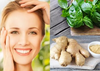 Chống lão hóa cho da từ húng quế, gừng