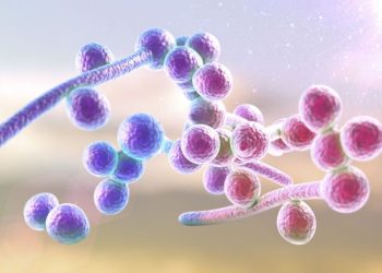 Nấm Candida – “Thủ phạm gây bệnh phụ khoa và cách phòng ngừa