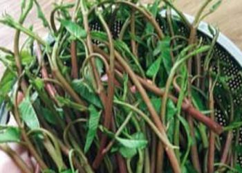 Xào rau muống nhất định phải chọn ngọn, làm theo cách sau sẽ xanh mềm, thơm ngon nhất