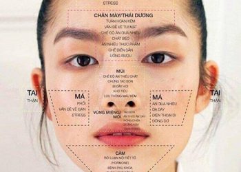 Mụn – vị trí mọc mụn và những thông báo từ bên trong cơ thể