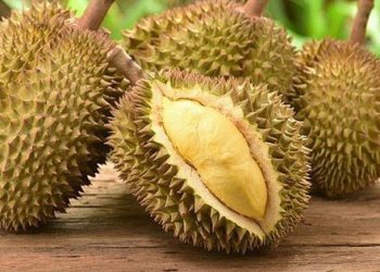 Có mẹo này, chỉ cần liếc qua cũng biết sầu riêng trái nào ngon trái nào dở!