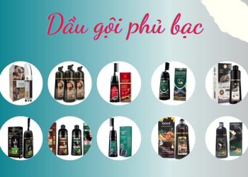 Top 10 dầu gội phủ bạc tốt nhất: cách đơn giản giúp tóc đen tự nhiên ngay tại nhà