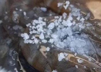 Cách mới: Thêm vài hạt nhà nào cũng có, tôm tươi trữ đông cả tháng vẫn ngọt, tươi, chắc thịt như vừa mới mua về
