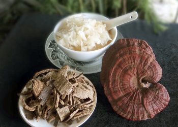 Đẹp dáng, đẹp da cùng nấm tuyết